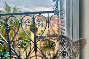Oscars Cat-Private Mansion-Villa Beauregard