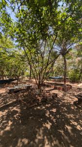 Jamjir Retreat Farm House