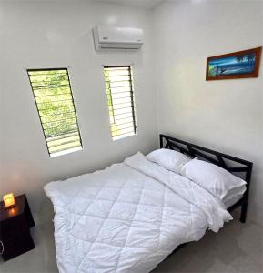Teo and Nicko Budget Villa