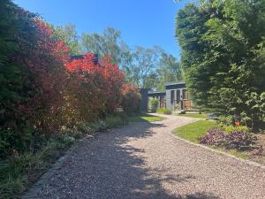 The Jungle - Luxury Glamping Lodge Cheshire