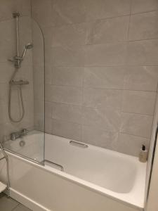 One Bedroom Luxury Regency Apartment