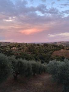 Il Casaletto Spartan Maremma Manciano