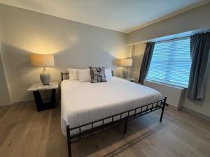 Graceland 320