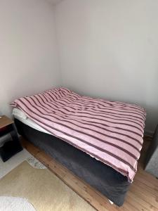 Cozy & Comfy Room