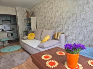 Apartament Kam Zabobrze
