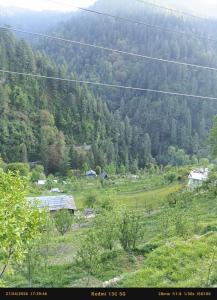 Jibhi Tandi fairytale forest Hostel