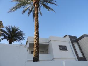 Guava Apt Downtown