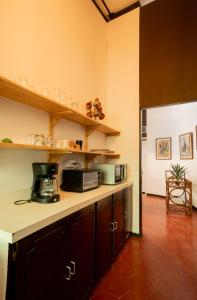 Casa Jungla Getaway 3B 3BA in Xanadu