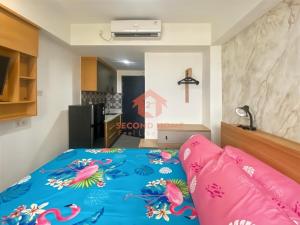 Cozy Studio Collins Apt Alsut Pool & Gym