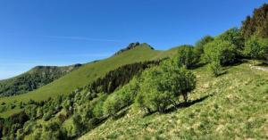 Vacallo Panorama Apartment - RentuGoo Travel