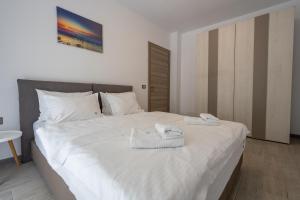 Santa Monica Beach Pool & SPA Mamaia Nord