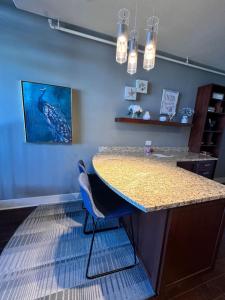 Luxury Furnished 1BR Condo in The Heart of the City