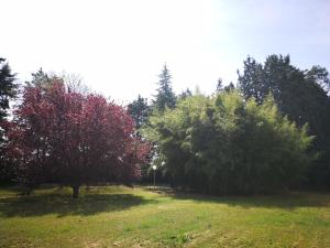 Villa Ramolina - Metaponto