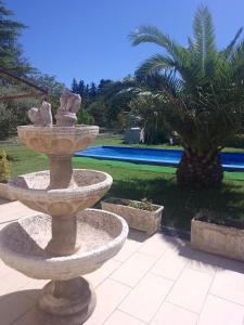 Les acacias