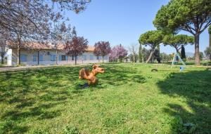 Lovely Home In Pescia Romana With Wifi