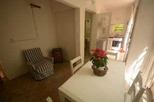 casa bambú