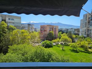 Apartment Mladost 1