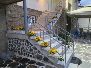 Villa Irena