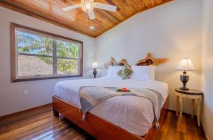 Nemos Poolside Family-Sized 2Br2Ba, Walk Right Out To The Pool!