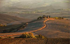 Quercia