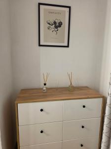 Cozy 1-BR Skopje City-Center
