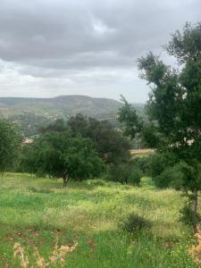 Amadlane Ayoub