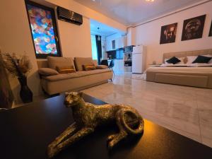 Mamaia Nord Resort Premium