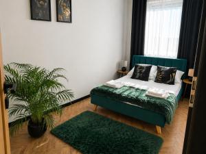 Ami Luxury Residence XII CENTRUM - parking