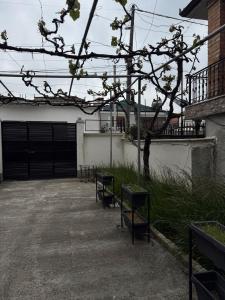 AA Home Korca