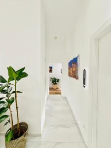 ST MARY MAJOR LOFT by Kambal Group