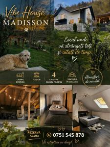 Vibe House Madisson