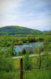 Apartman Petko
