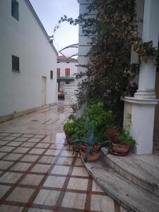Vacanza al centro 5 posti