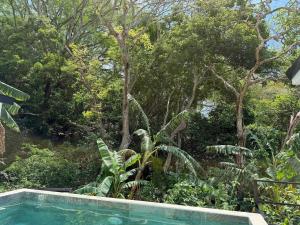 Casa La Paz, Paix, Jungle, Singes, Piscine à Atenas