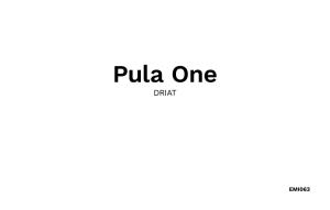 Pula One