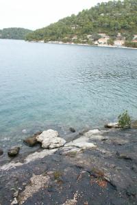 Apartments by the sea Babine Kuce, Mljet - 610