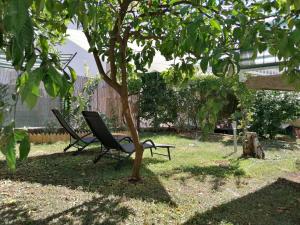Apartments by the sea Okrug Gornji - Ciovo - 25387