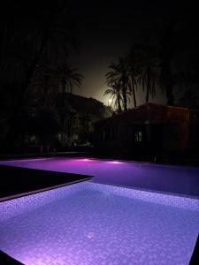 Camping auberge palmeraie damezrou