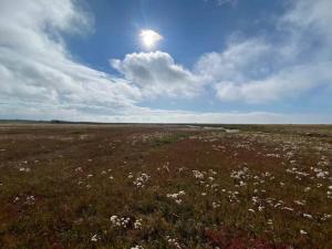 4 person holiday home in Læsø-By Traum