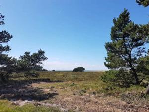 4 person holiday home in Læsø-By Traum