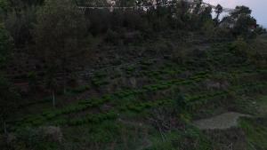 ES Deurali Resort