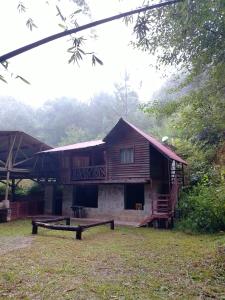Bosque de Niebla