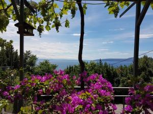 Apartments with parking space Medveja, Opatija - 7721