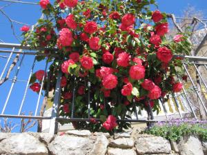 Apartments with parking space Medveja, Opatija - 7721