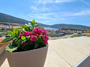 Apartments Izabela Mužić-Fornarić Cres