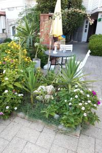 Apartments with parking space Novalja, Pag - 25685