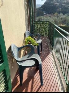 La casa di nonnino