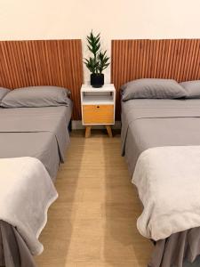 Midori Stay