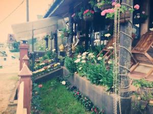 Celonya Wooden Resort