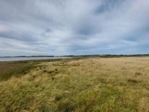 8 person holiday home in Løgstør-By Traum